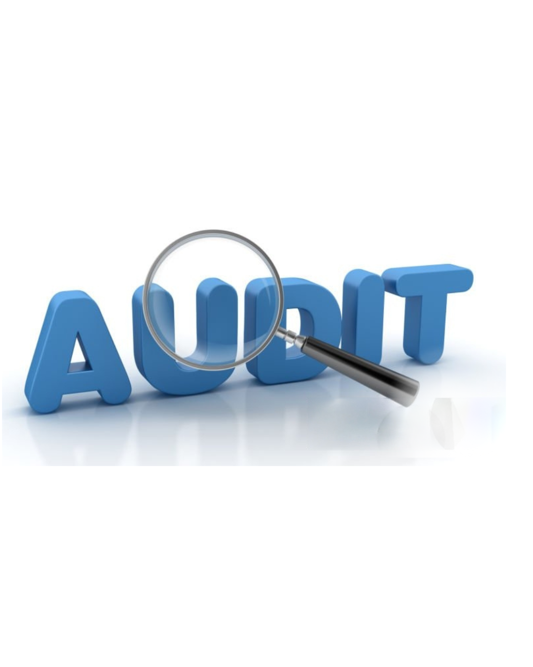 Audit Image